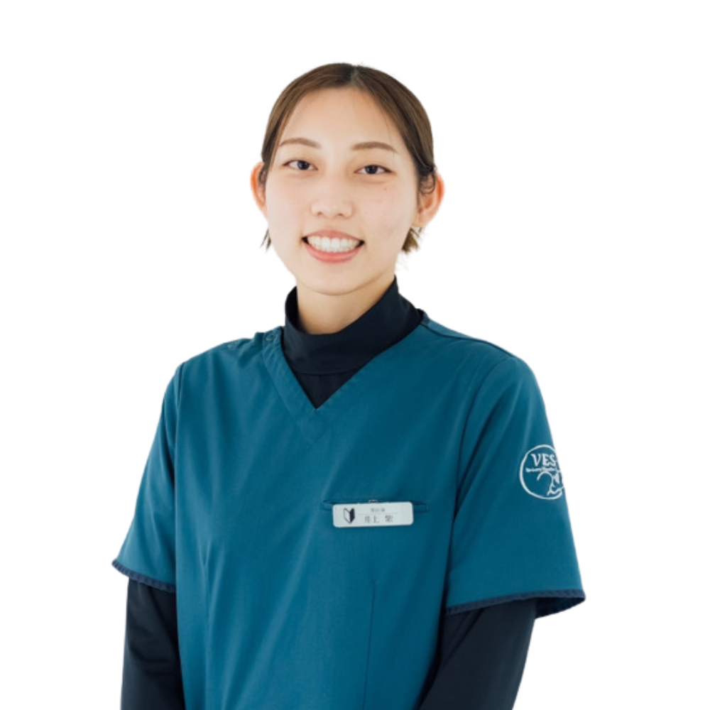 井上 紫